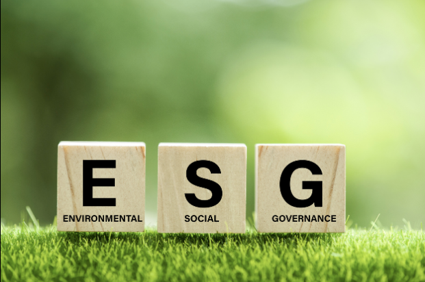Decoding the Key Aspects of the ESG Score in Singapore