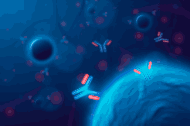 What Does a GSK-3 Beta Antibody Detect and Why Is GSK3β Important?